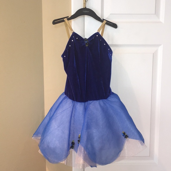 Childs Ballet Costume - Picture 1 of 5